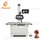 Veterinary Dynamic Digital Radiography